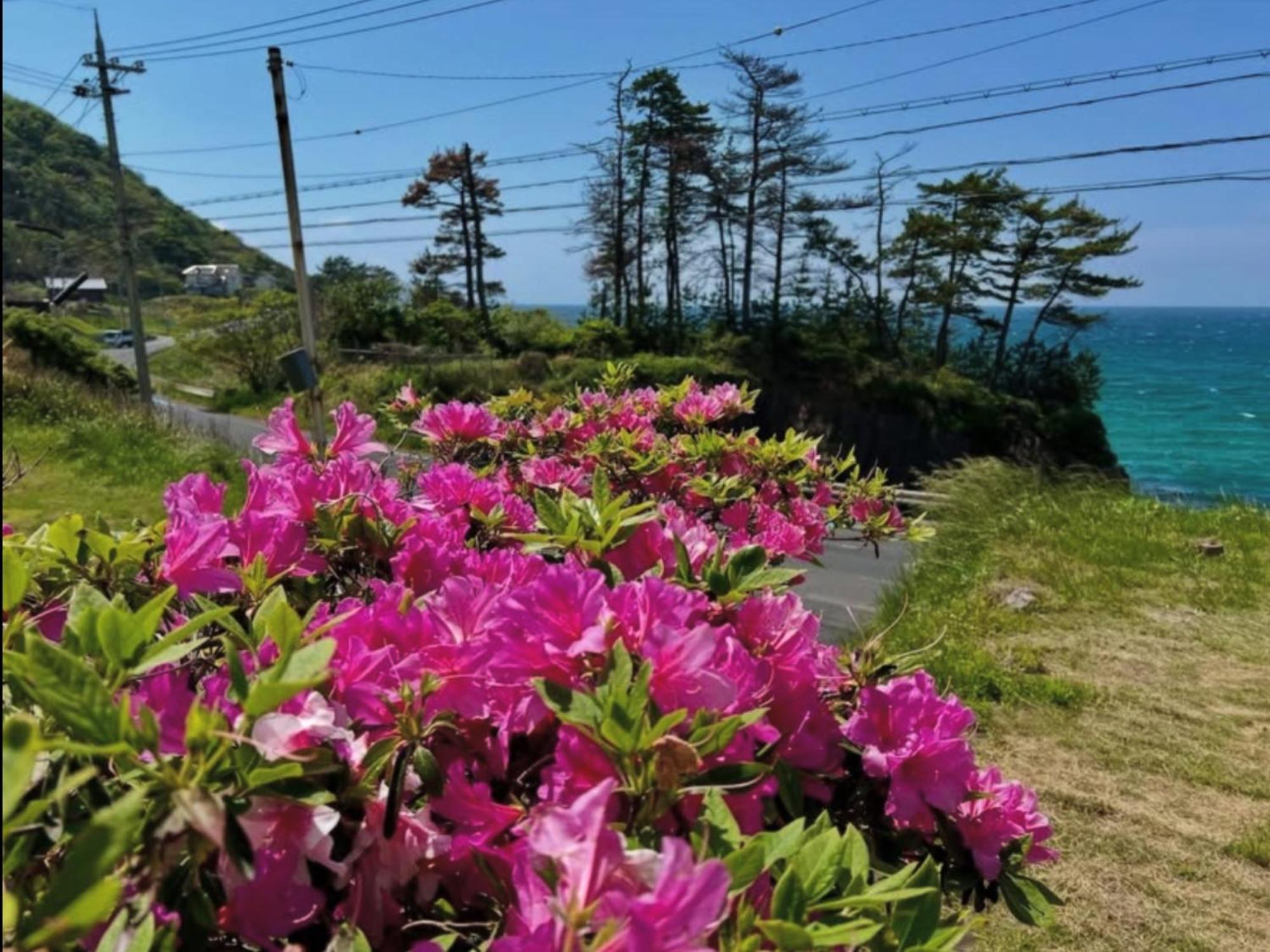 レンタルコテージサントロペ Kyotango Exterior foto