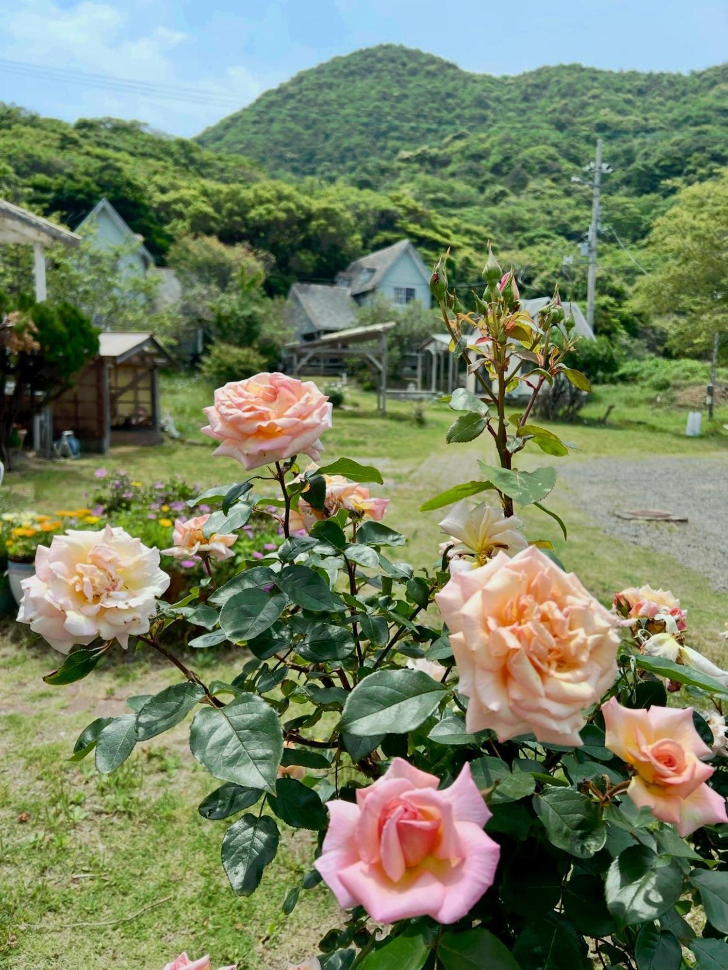 レンタルコテージサントロペ Kyotango Exterior foto